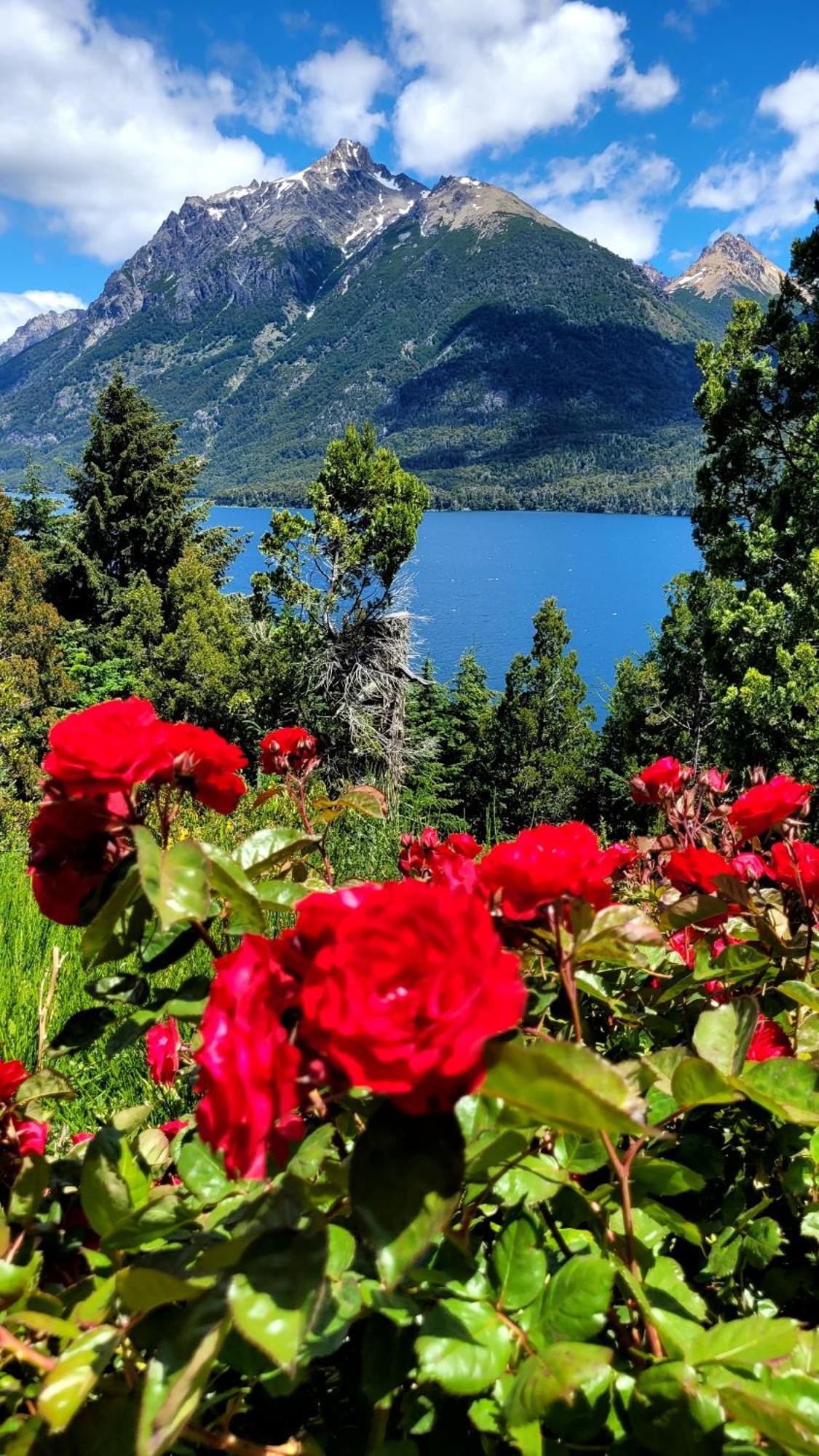 El Mirador-Casa Cipres Villa Bariloche Buitenkant foto